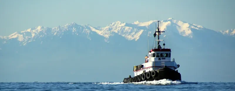 D DOG Tug Boat IMO 7643629 photo 5