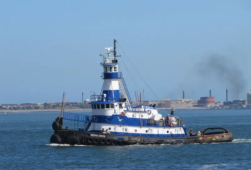 INDIAN DAWN General Cargo IMO 7643708 photo 3