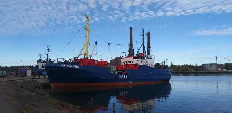 MATROSOVO Fishing Vessel IMO 7643930