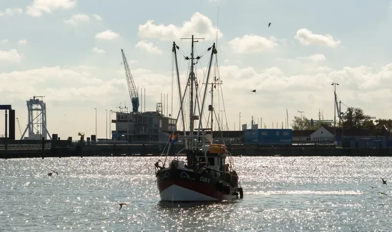 LENA General Cargo IMO 7644984 photo 4