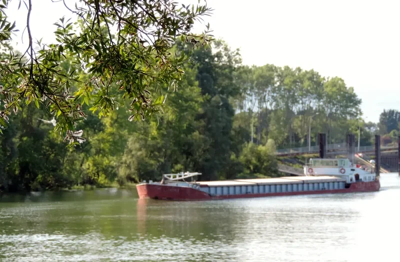 ANDRIES General Cargo IMO 7646190 photo 5