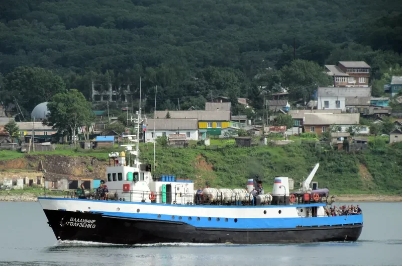 VLADIMIR GOLUZENKO Passenger Ship IMO 7646891
