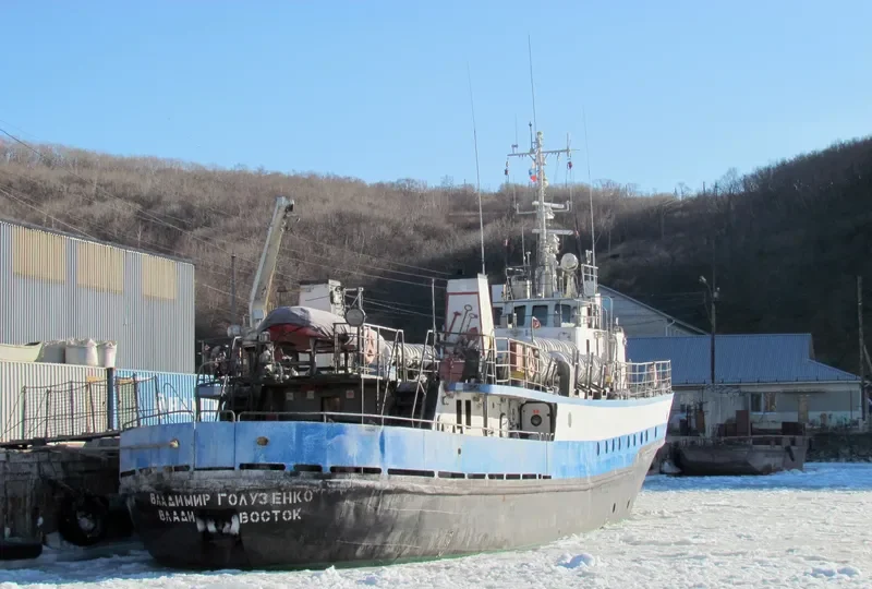 VLADIMIR GOLUZENKO Passenger Ship IMO 7646891 photo 2