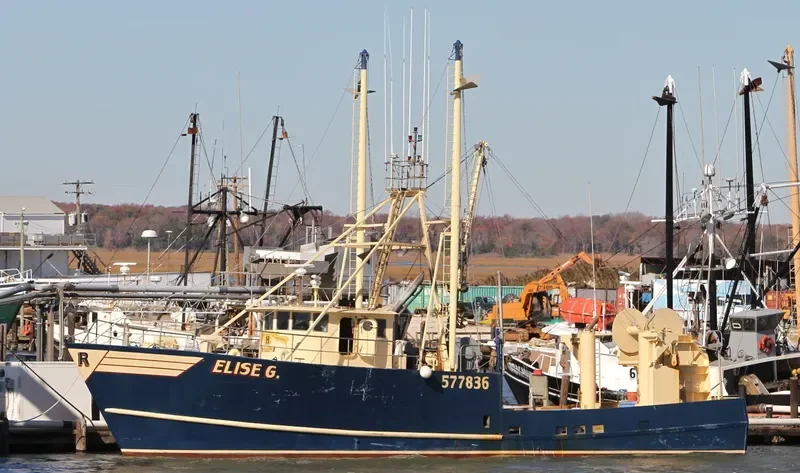 ELISE G Fishing Vessel IMO 7647302 photo 7