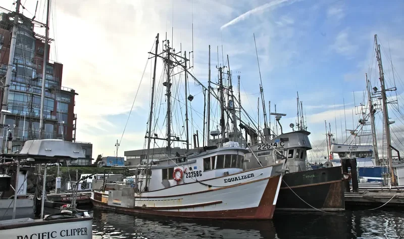 EQUALIZER Fishing Vessel IMO 7647338 photo 5