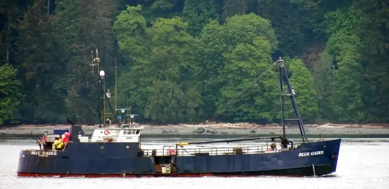 BLUE GADUS General Cargo IMO 7647883
