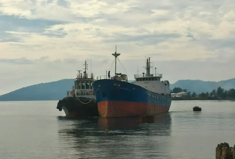 SAMUDERA I General Cargo IMO 7652694 photo 3