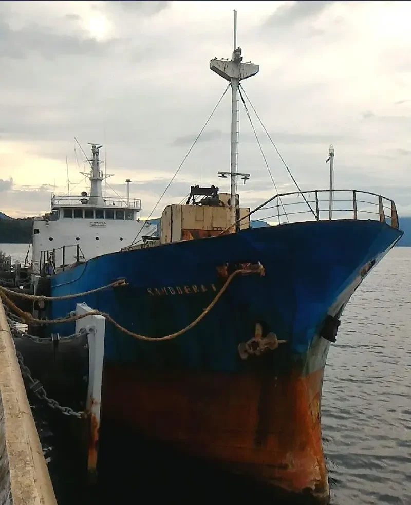SAMUDERA I General Cargo IMO 7652694 photo 7