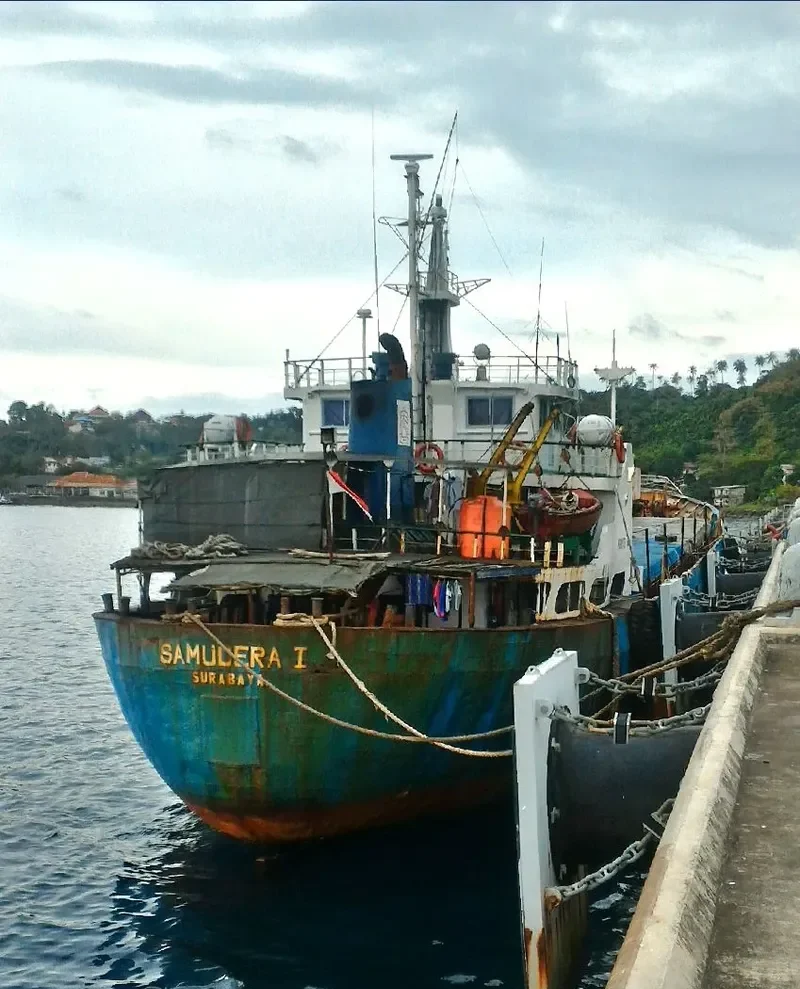 SAMUDERA I General Cargo IMO 7652694 photo 8