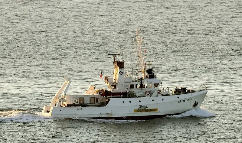 THALIA General Cargo IMO 7700013 photo 10