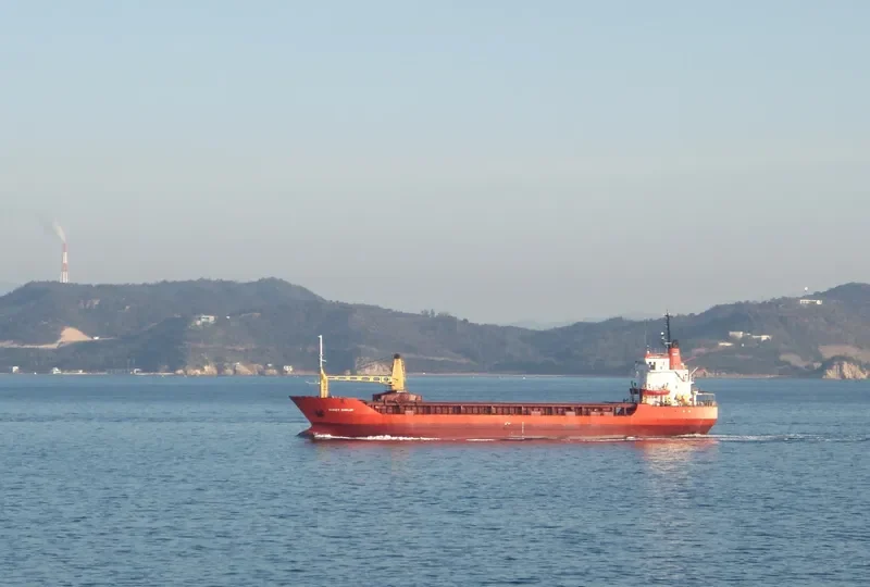 SERGEY DANILOV General Cargo IMO 7700154 photo 8
