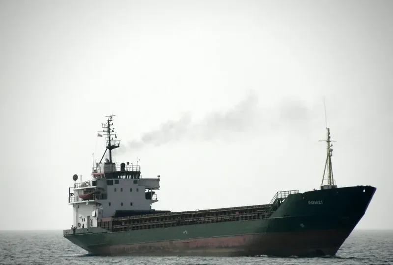 RANI General Cargo IMO 7700207 photo 3