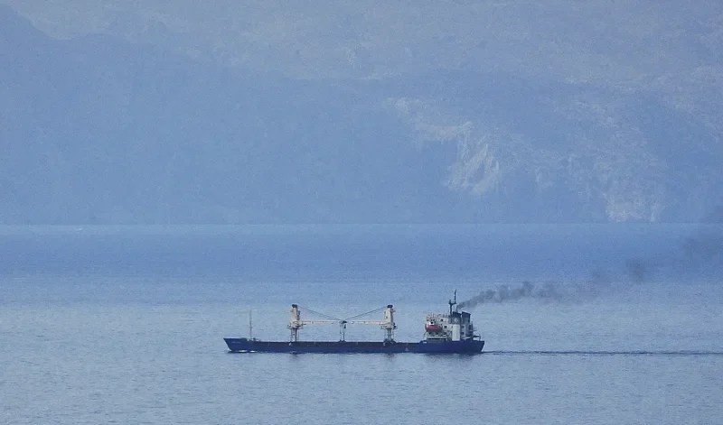 LADY LAILA Bulk Carrier IMO 7700544