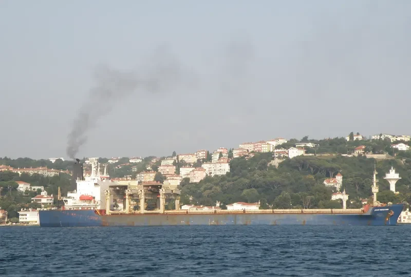 SVYATOY PANTELEYMON General Cargo IMO 7700702 photo 2