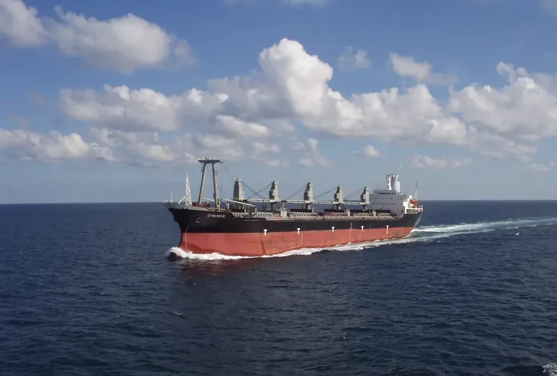 DYNAMIC G Bulk Carrier IMO 7700776