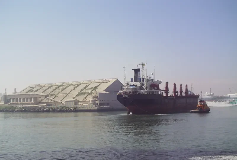 ZOITSA Bulk Carrier IMO 7701043