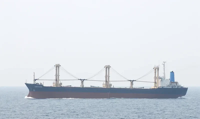 LUCKY CLOUD Bulk Carrier IMO 7701316 photo 3