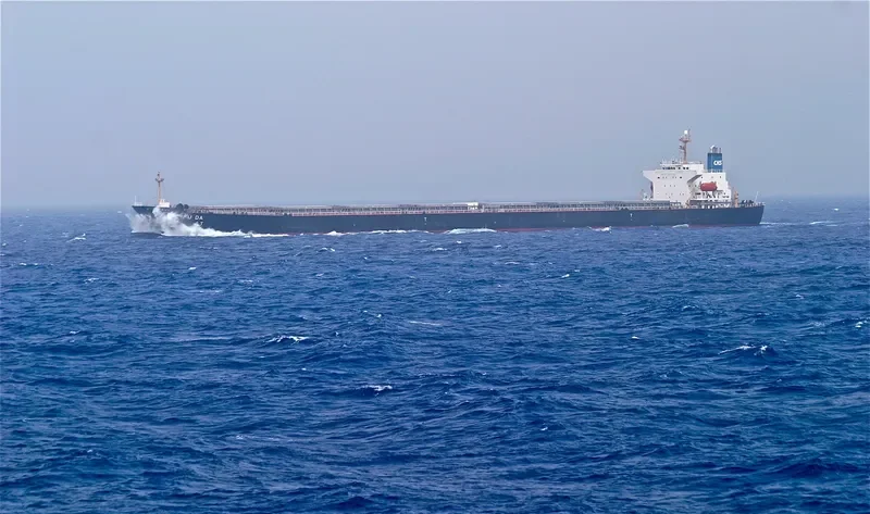 FU DA Bulk Carrier IMO 7701330 photo 4