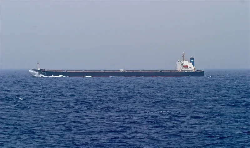 FU DA Bulk Carrier IMO 7701330 photo 5