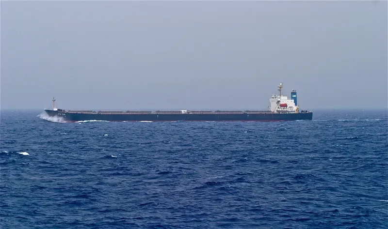 FU DA Bulk Carrier IMO 7701330 photo 6