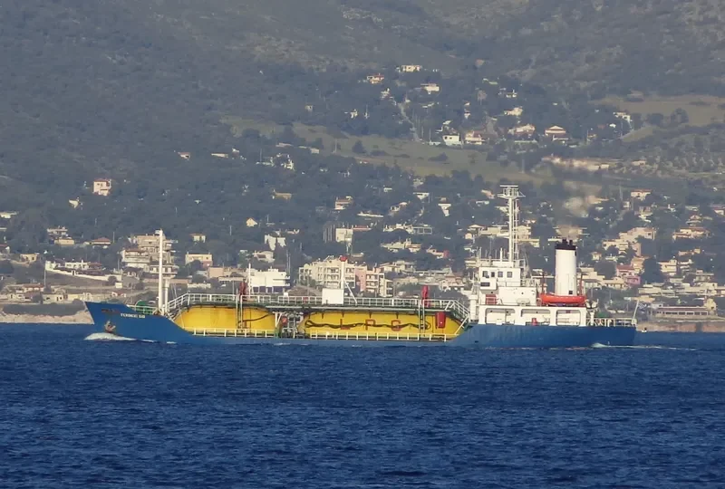 VERONIKI DIO General Cargo IMO 7701562 photo 6