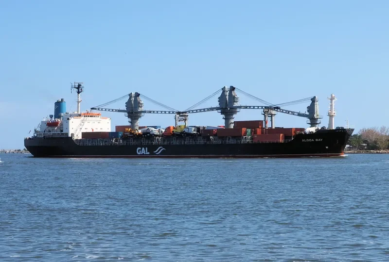 ALGOA BAY Bulk Carrier IMO 7701641 photo 2