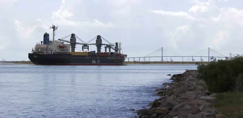 ALGOA BAY Bulk Carrier IMO 7701641 photo 3
