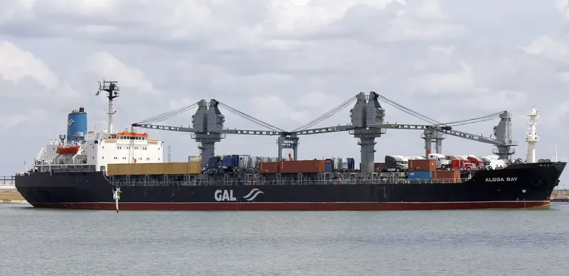 ALGOA BAY Bulk Carrier IMO 7701641 photo 4