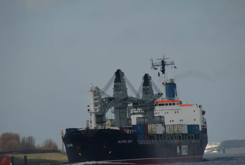 ALGOA BAY Bulk Carrier IMO 7701641 photo 10