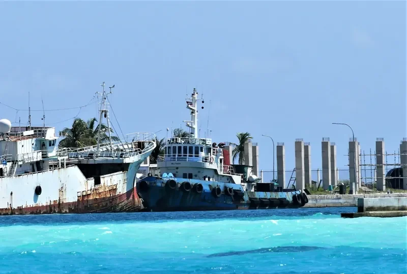 VILA TUG 3 Tug Boat IMO 7702279 photo 3
