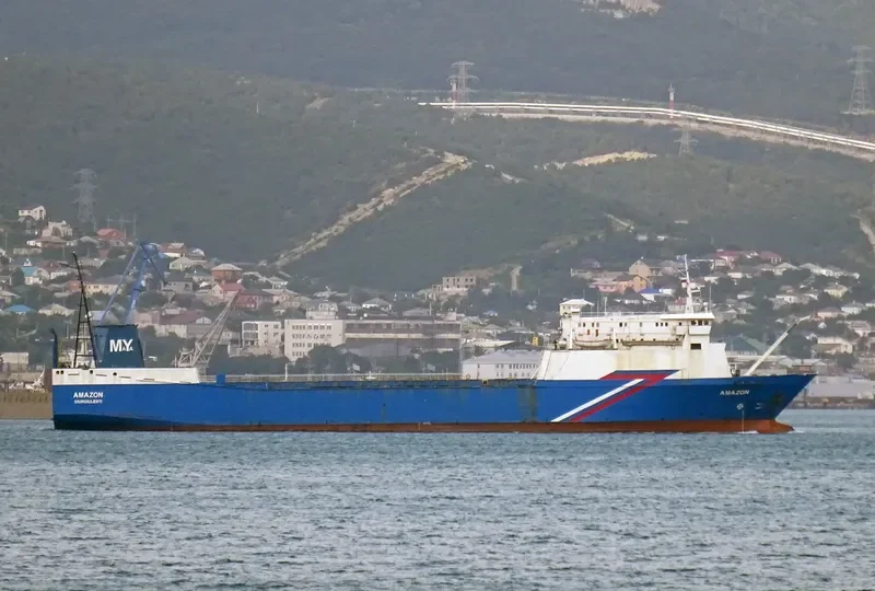 NADEZHDA Ro-Ro IMO 7702657 photo 3