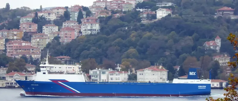 NADEZHDA Ro-Ro IMO 7702657 photo 4