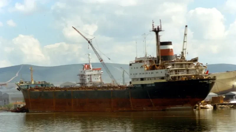HILMI Bulk Carrier IMO 7702798 photo 4