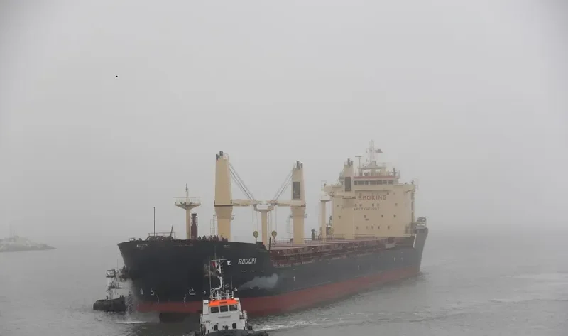 RODOPI Bulk Carrier IMO 7702839