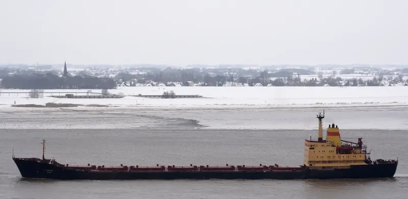 RODOPI Bulk Carrier IMO 7702839 photo 2