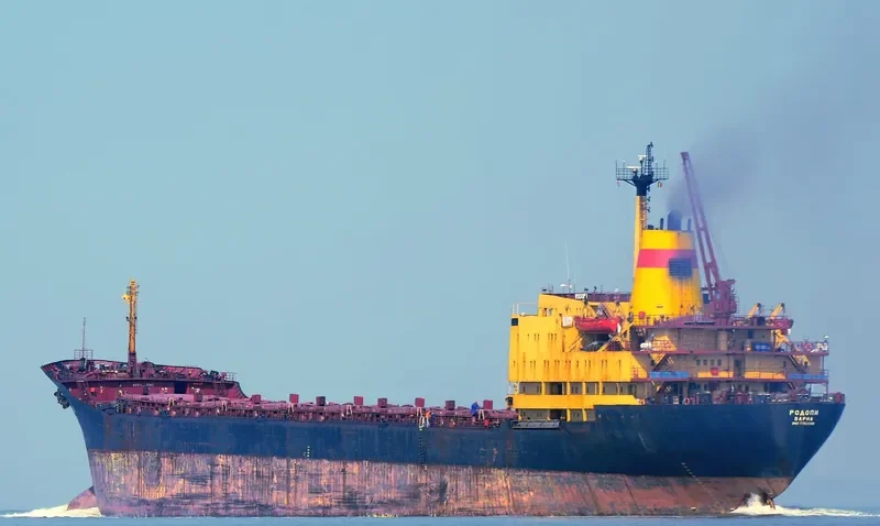 RODOPI Bulk Carrier IMO 7702839 photo 5