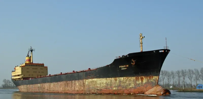 RODOPI Bulk Carrier IMO 7702839 photo 6