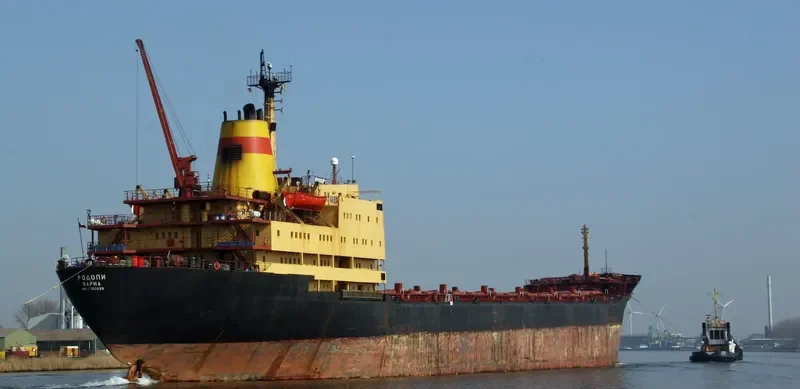 RODOPI Bulk Carrier IMO 7702839 photo 7