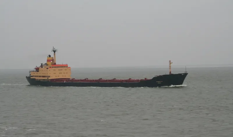 RODOPI Bulk Carrier IMO 7702839 photo 10