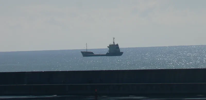 OLA General Cargo IMO 7703015
