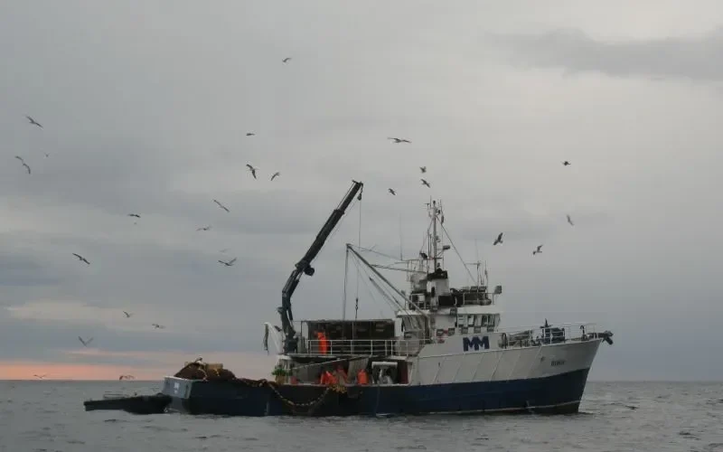 ROSO Fishing Vessel IMO 7703077 photo 5