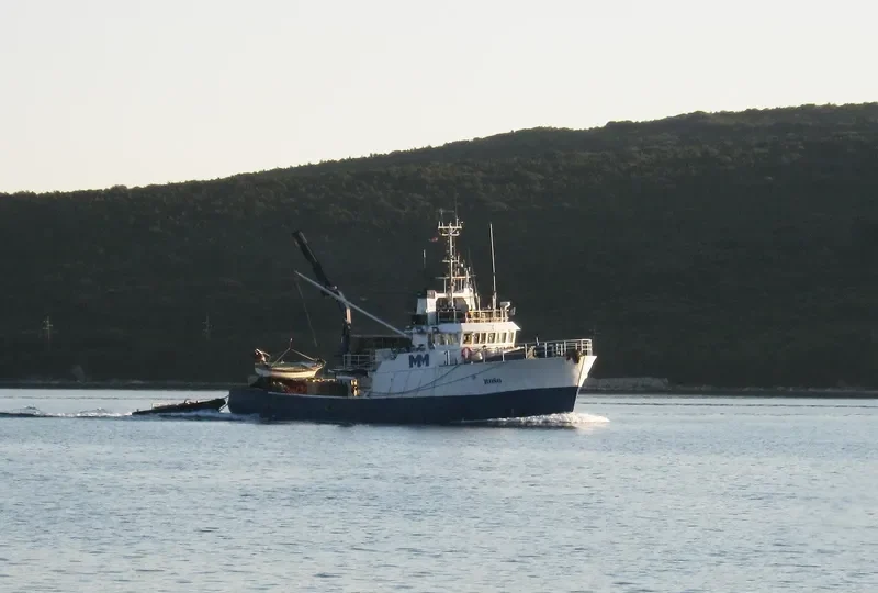 ROSO Fishing Vessel IMO 7703077 photo 7