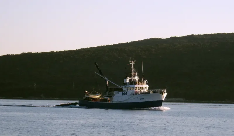 ROSO Fishing Vessel IMO 7703089