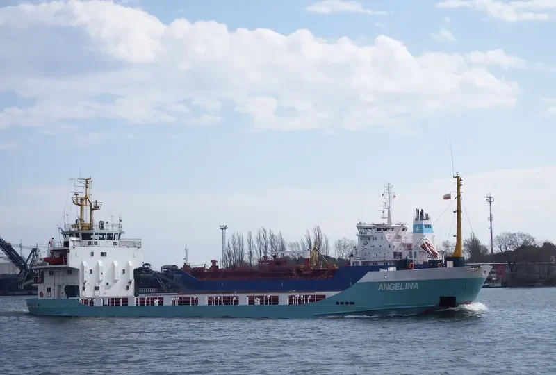 ANGELINA General Cargo IMO 7703273 photo 10
