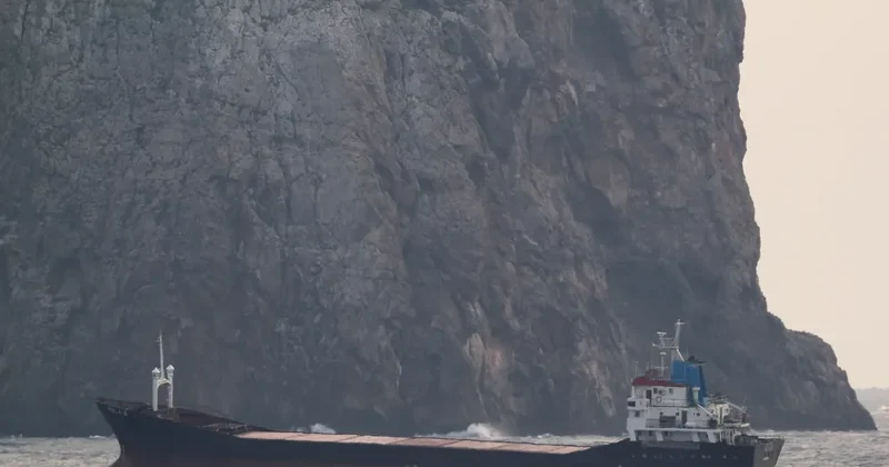 HALA General Cargo IMO 7703687