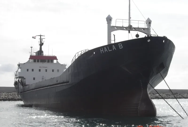 HALA General Cargo IMO 7703687 photo 2