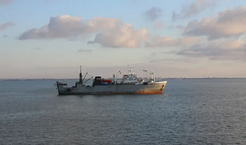 GREY WHALE General Cargo IMO 7703962