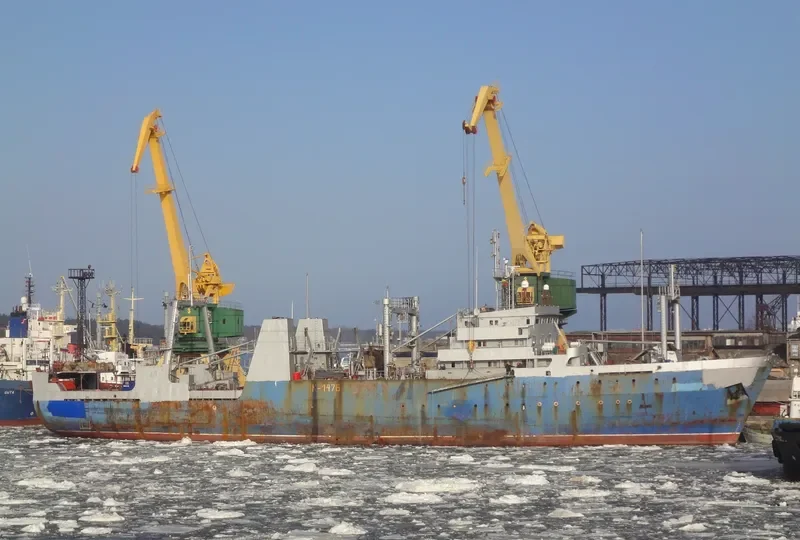 GREY WHALE General Cargo IMO 7703962 photo 6
