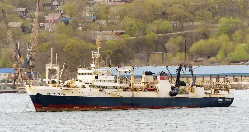 PAVEL PANIN General Cargo IMO 7703998