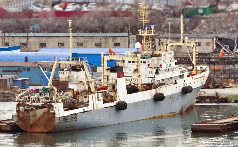 PAVEL PANIN General Cargo IMO 7703998 photo 2